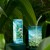 Woda kokosowa Coconaut (klasyk 10x320 ml + gaz 10x320ml)